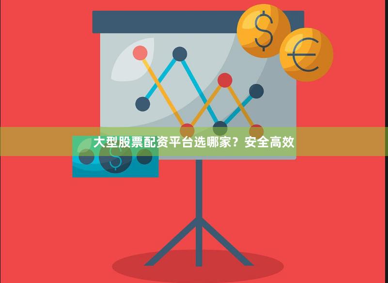 大型股票配资平台选哪家？安全高效